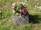 image number IMG_3283